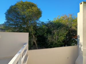 Image 19 - 881020