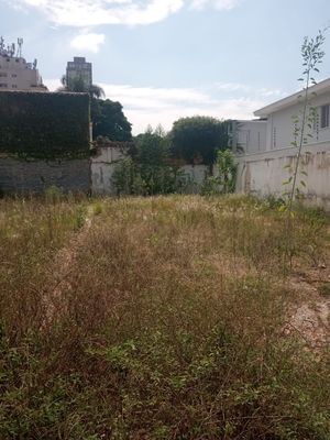 Image 4 - 881064