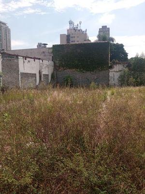 Image 5 - 881064