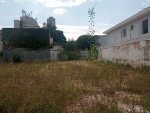 Image 6 - 881064