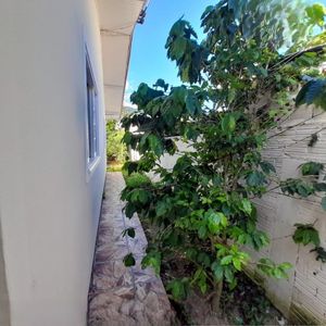 Image 15 - 881168