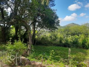 Image 26 - 881210