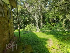 Image 19 - 881210