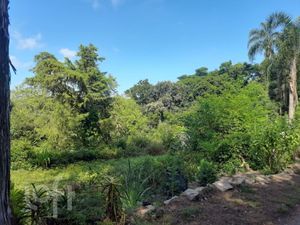 Image 24 - 881210