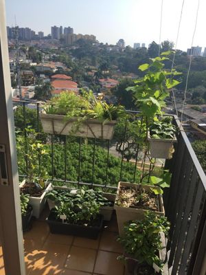 Image 9 - 881222