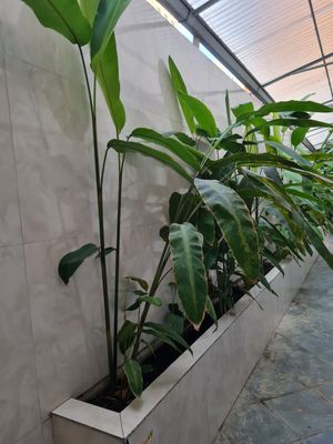 Image 2 - 881339