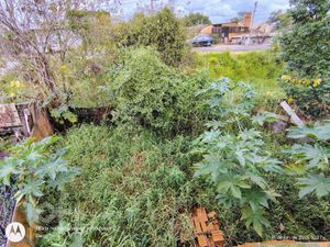 Image 4 - 881358