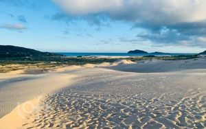 Image 15 - 881378