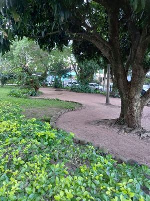 Image 6 - 881388