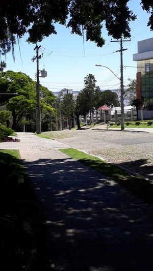 Image 10 - 881423