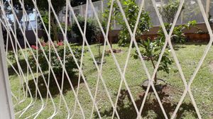 Image 11 - 881423