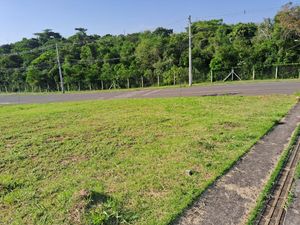 Image 4 - 881502
