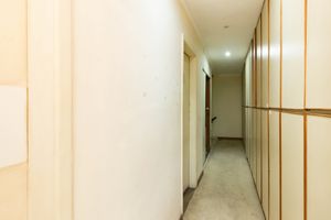 Image 20 - 881528