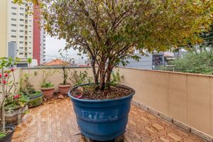 Image 32 - 881633
