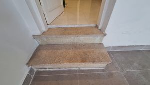 Image 13 - 881662