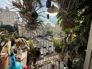 Image 5 - 881707