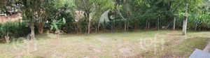 Image 12 - 881753