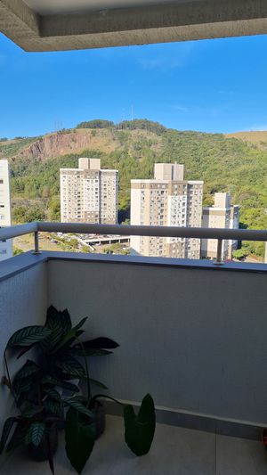 Image 5 - 881790
