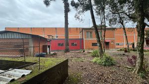 Image 9 - 881970
