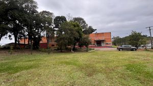 Image 6 - 881970