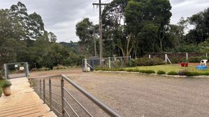 Image 11 - 881970