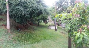 Image 14 - 882283