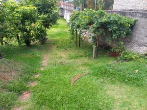 Image 23 - 882283