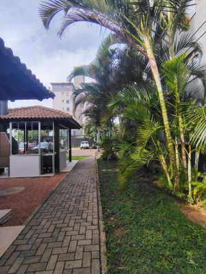Image 13 - 882318