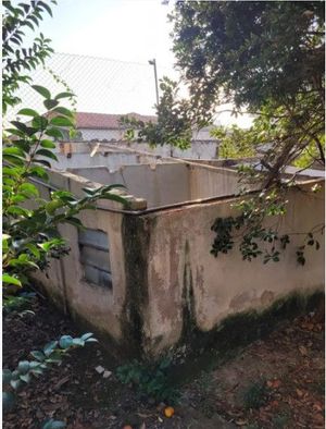 Image 9 - 882320