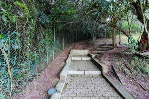 Image 42 - 882412