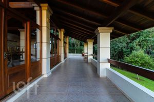 Image 40 - 882412