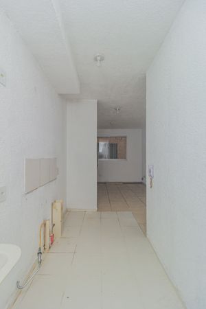 Image 17 - 882447