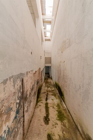 Image 34 - 882454