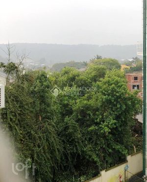 Image 46 - 882537