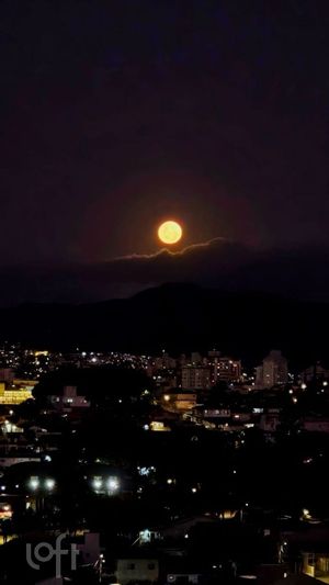 Image 18 - 882645