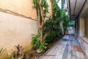 Image 20 - 882690