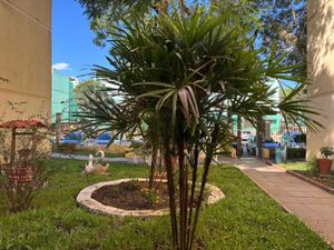 Image 6 - 882783