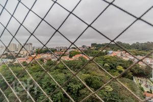 Image 35 - 882835