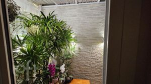 Image 8 - 883029