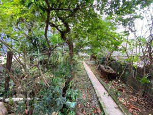 Image 24 - 883048