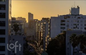 Image 13 - 883136
