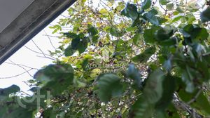 Image 45 - 883140