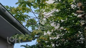 Image 43 - 883140