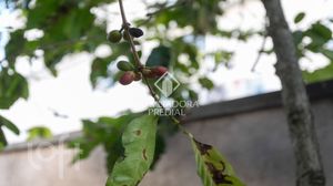 Image 44 - 883140