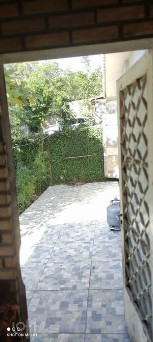 Image 9 - 883202