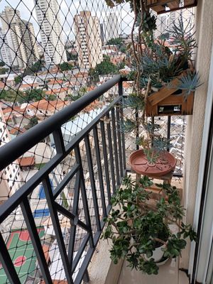 Image 13 - 883238
