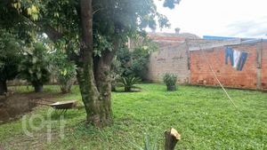 Image 9 - 883276