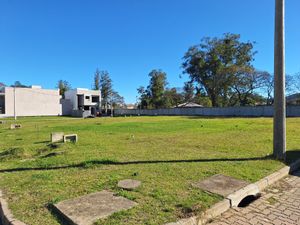 Image 8 - 883477