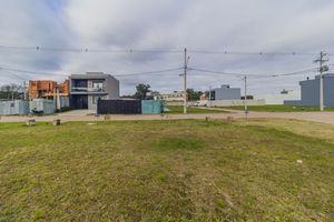 Image 3 - 883478