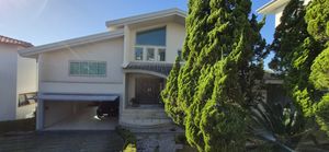 Image 42 - 883486